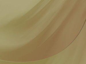 宠物香薰蜡烛安全吗？精油对宠物的影响